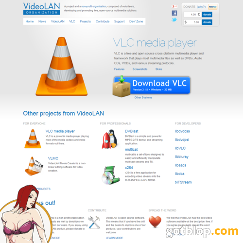 sex software VLC Media Player